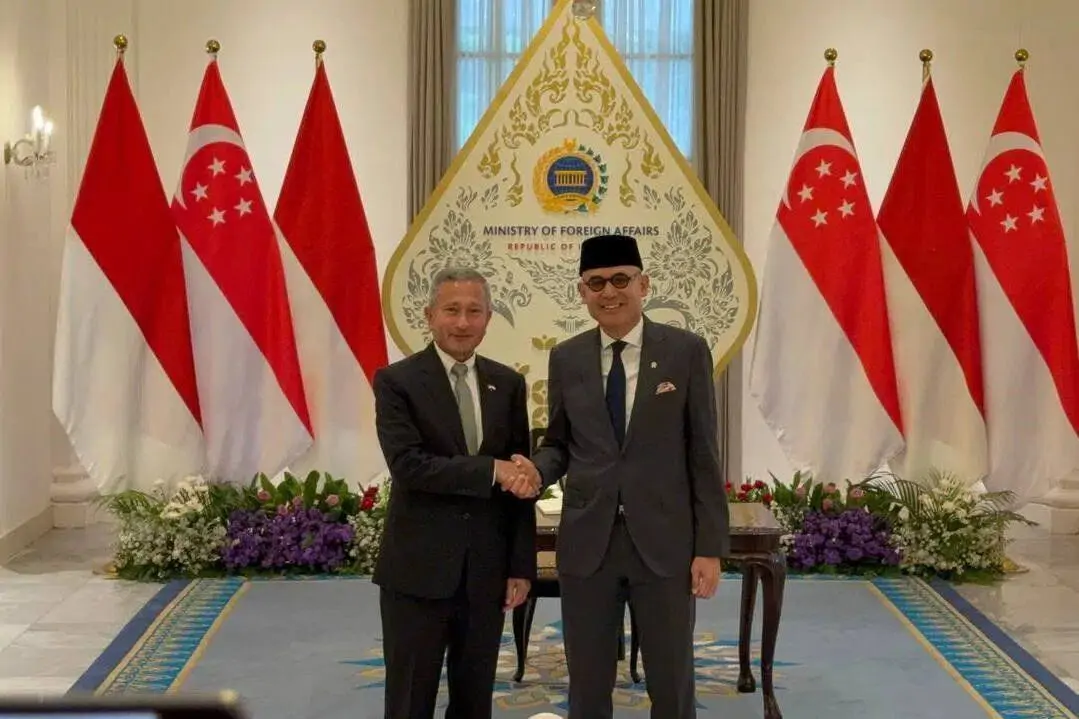 Indonesia, Singapore to Establish Joint Task Force to Combat Forest Fires 13 Singapore
