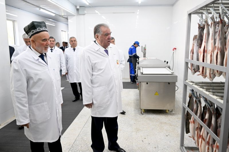 Tajik President Inaugurates Fish Processing Facility in Vahdat, Eyes Higher Exports 2 Vahdat